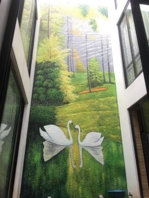 Vẽ Tranh Tường Đẹp Giá Rẻ Tại TPHCM